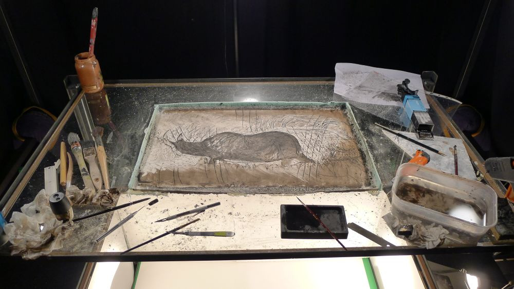  La démonstration </br> avec Pierre-Luc Granjon